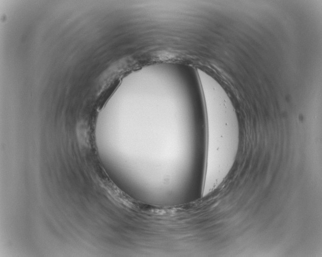 X0000060810524200511101039