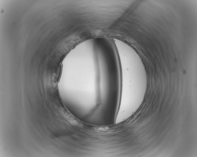 X0000060810525200511101039