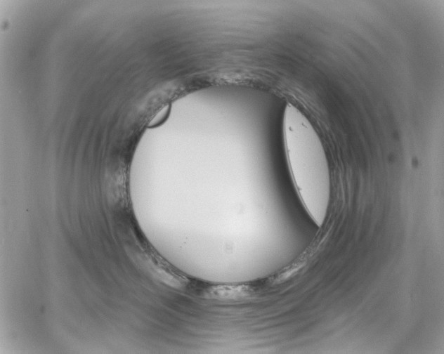 X0000060810526200511101039