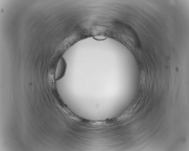 X0000060810527200511101039