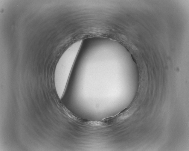 X0000060810528200511101039