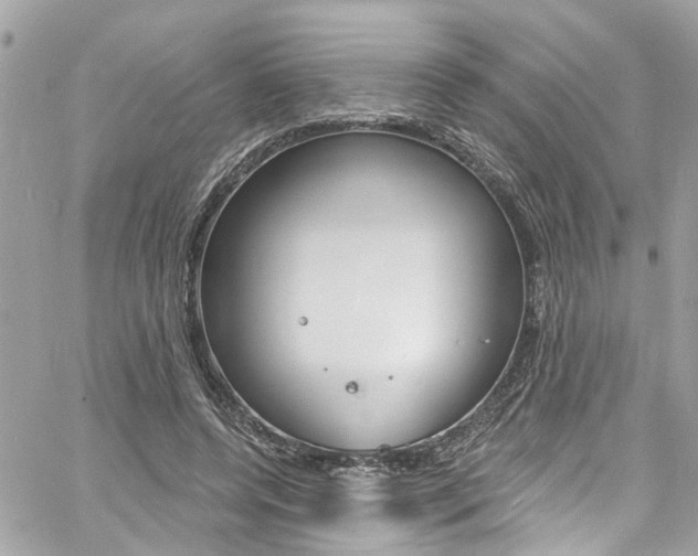 X0000060810544200511101039