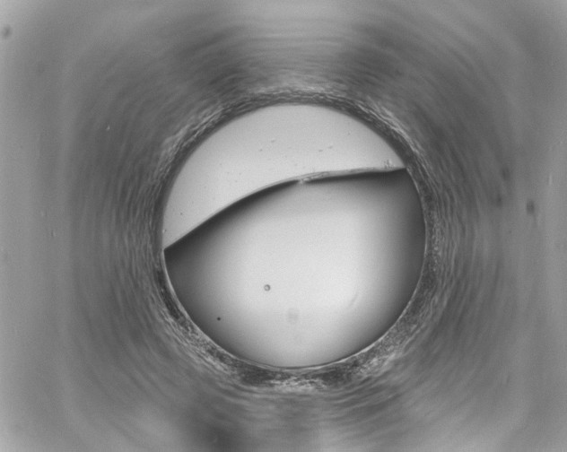 X0000060810545200511101039