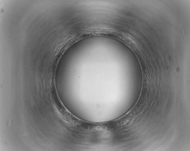 X0000060810546200511101039