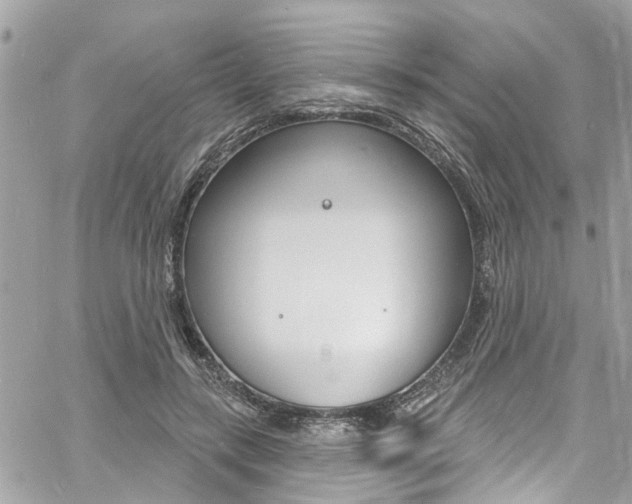 X0000060810547200511101039