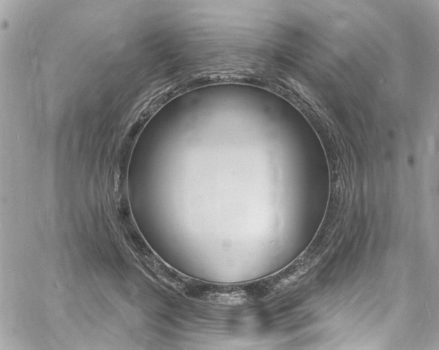 X0000060810548200511101039