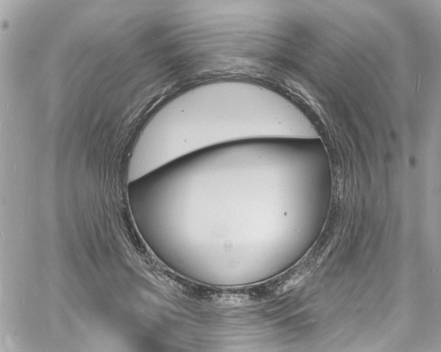 X0000060810549200511101039