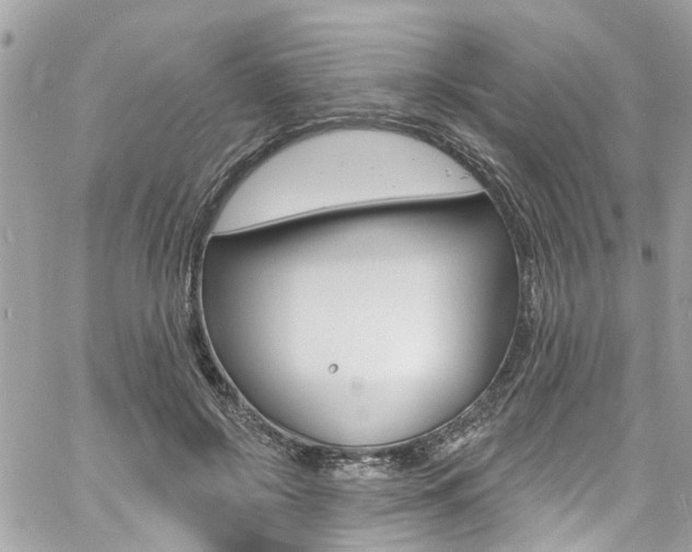 X0000060810550200511101039