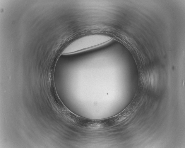 X0000060810551200511101039