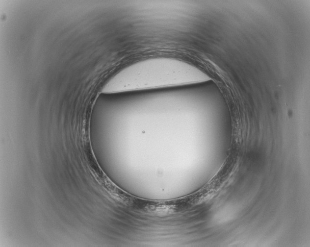 X0000060810553200511101039