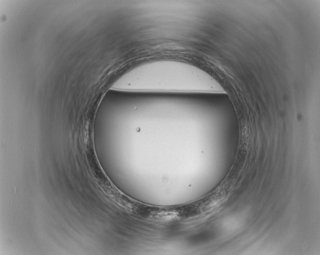 X0000060810554200511101039