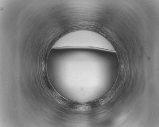 X0000060810555200511101039