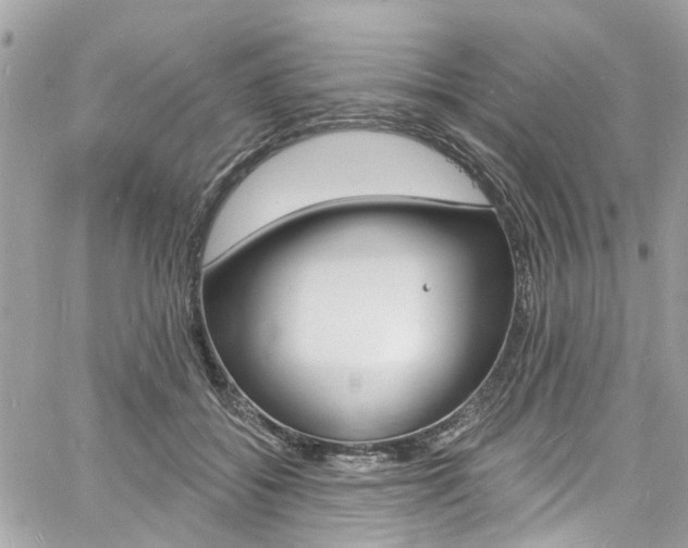 X0000060810556200511101039