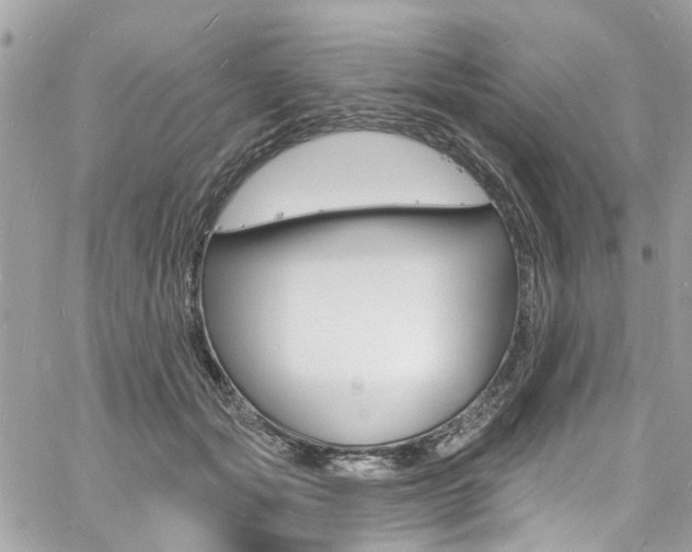 X0000060810557200511101039