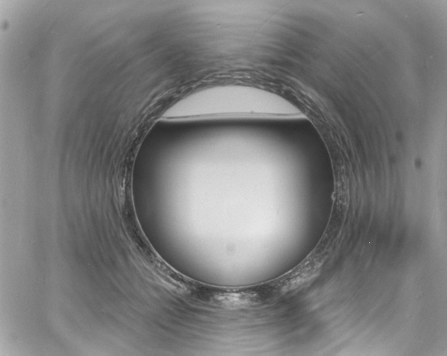 X0000060810558200511101039