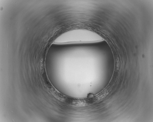 X0000060810559200511101039