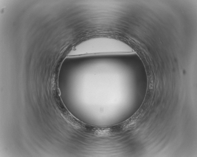 X0000060810560200511101039