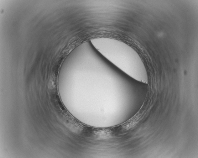 X0000060810561200511101039