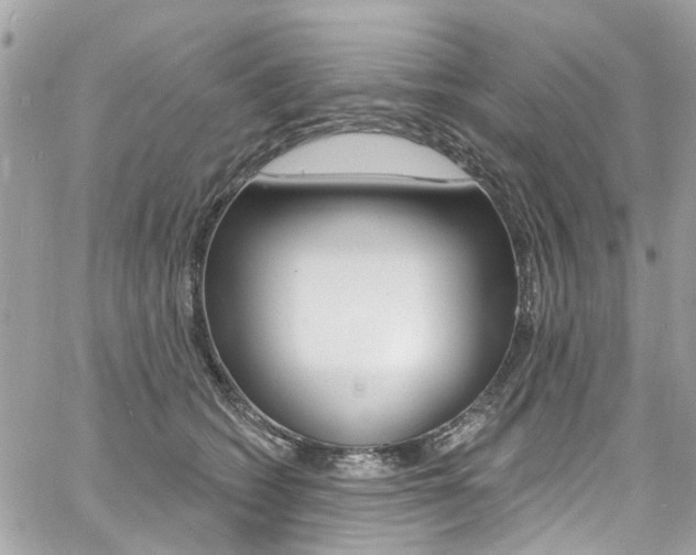 X0000060810562200511101039