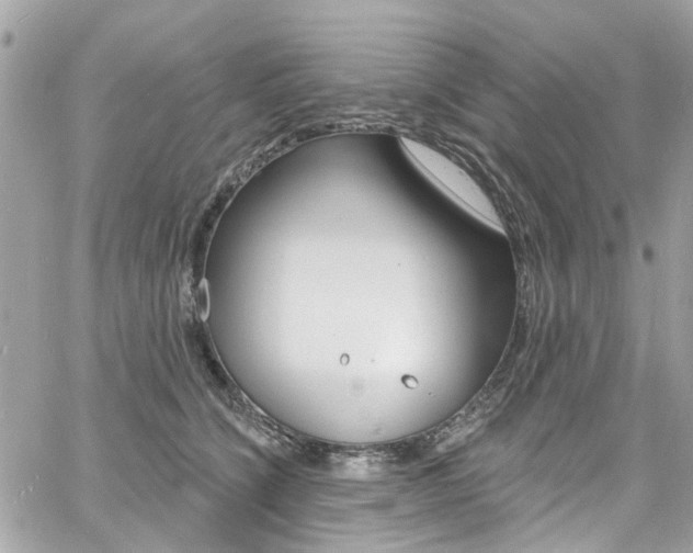 X0000060810564200511101039