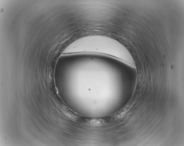 X0000060810566200511101039