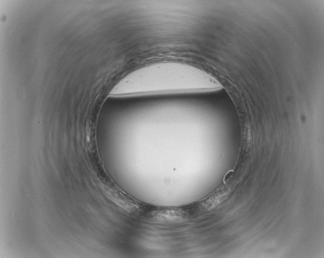 X0000060810567200511101039