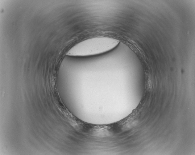 X0000060810569200511101039