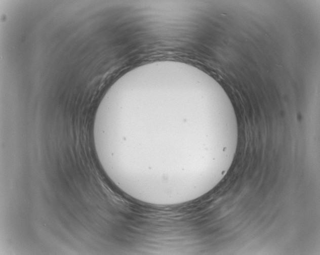 X0000060810570200511101039