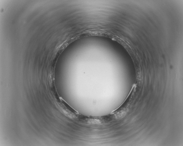 X0000060810572200511101039