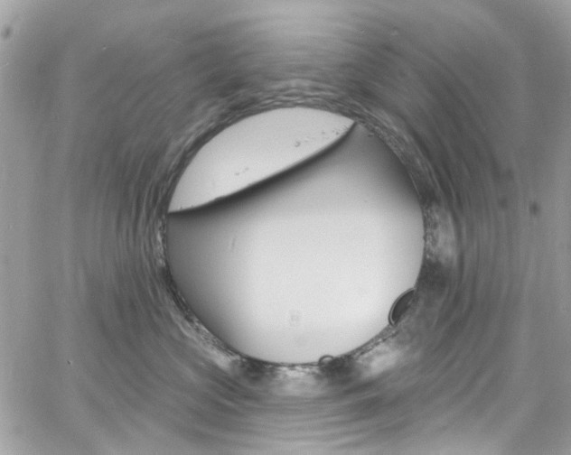 X0000060810573200511101039