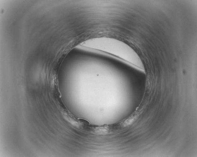 X0000060810574200511101039