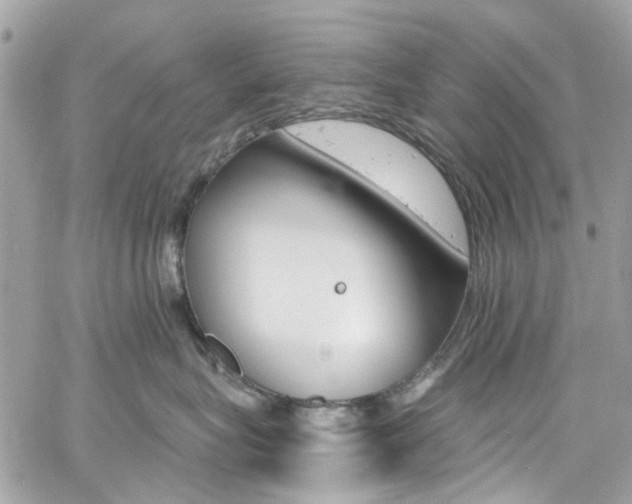 X0000060810575200511101039