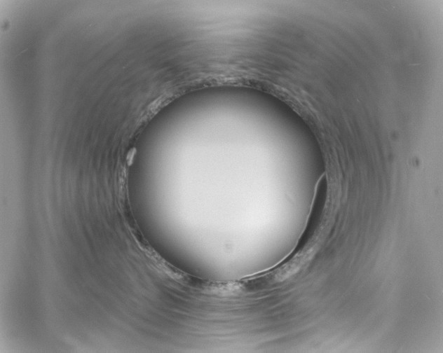 X0000060810576200511101039