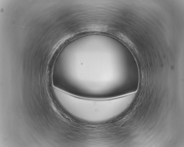 X0000060810580200511101038