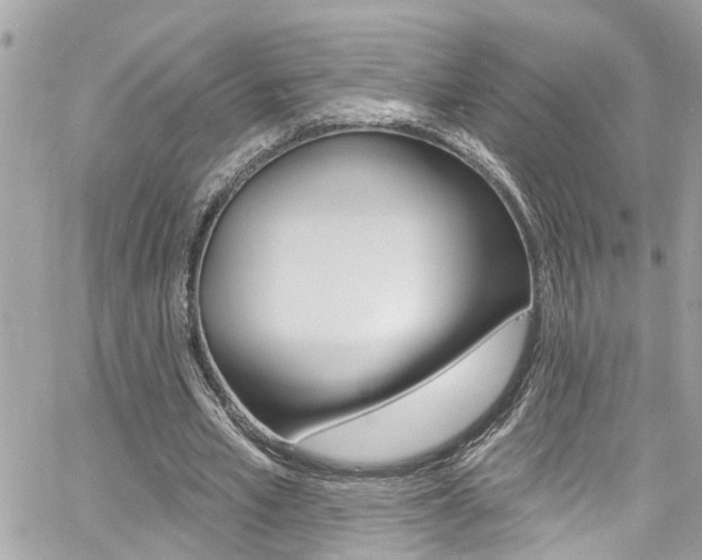 X0000060810581200511101038