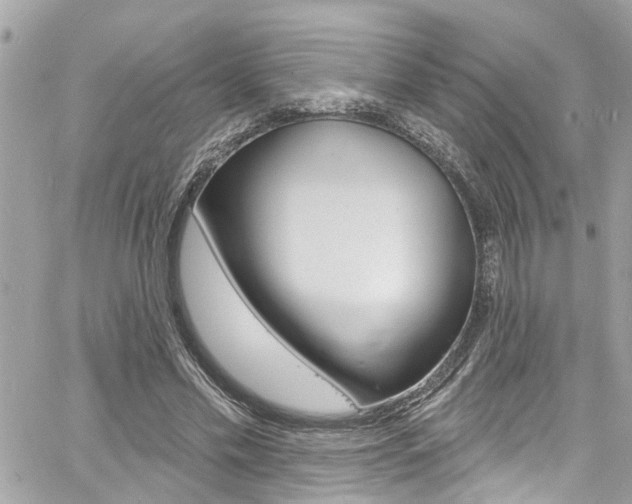 X0000060810589200511101038