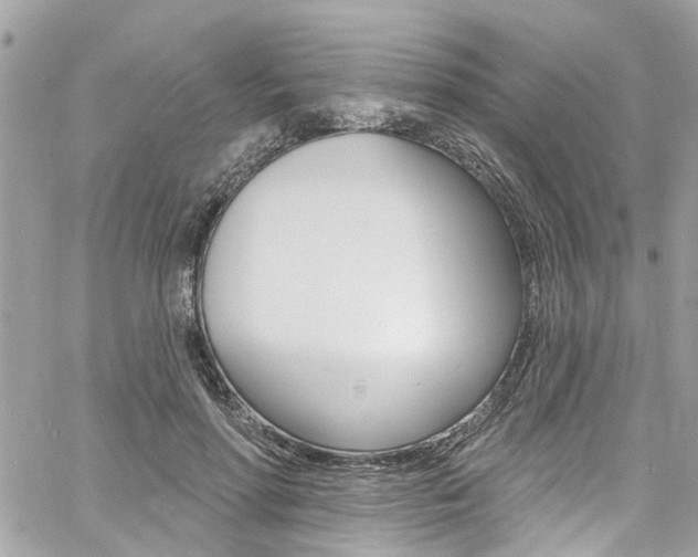 X0000060810598200511101038