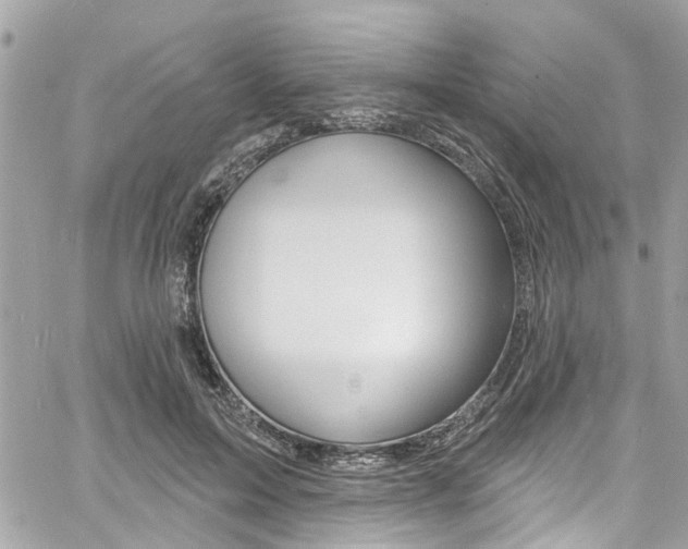 X0000060810599200511101038