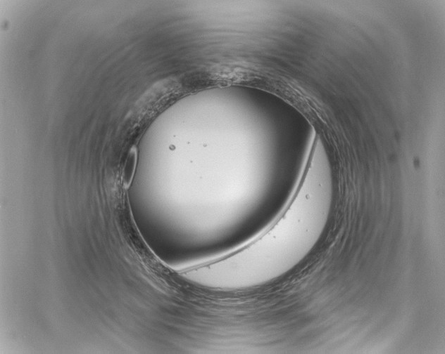 X0000060810601200511101038