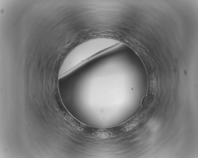 X0000060810608200511101038
