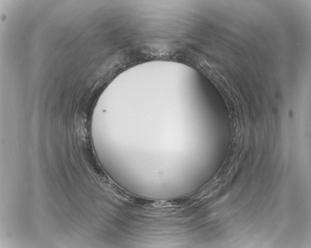 X0000060810612200511101038