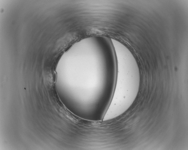 X0000060810617200511101038