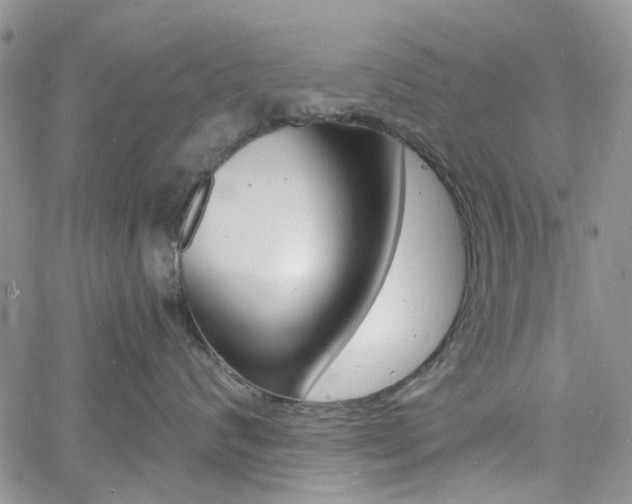 X0000060810624200511101037