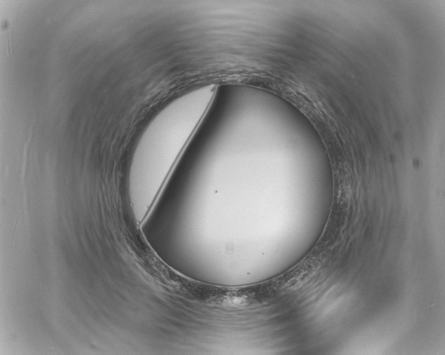 X0000060810647200511101037