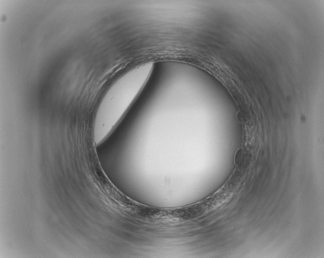 X0000060810648200511101037
