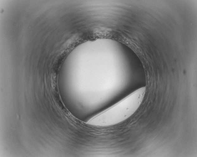 X0000060810712200511101036