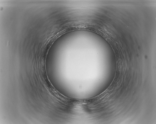 X0000060810747200511101035