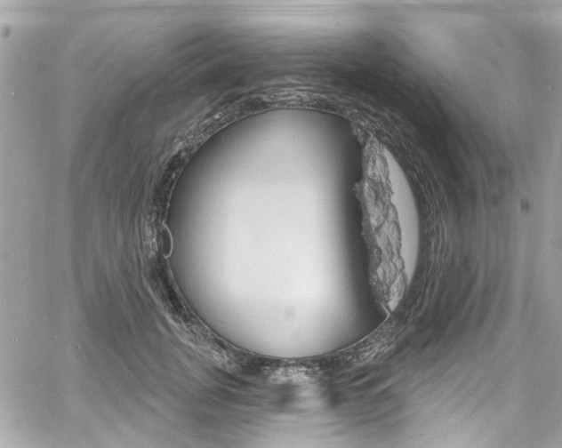 X0000060810751200511101036