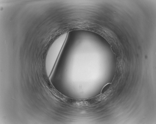 X0000060810752200511101036