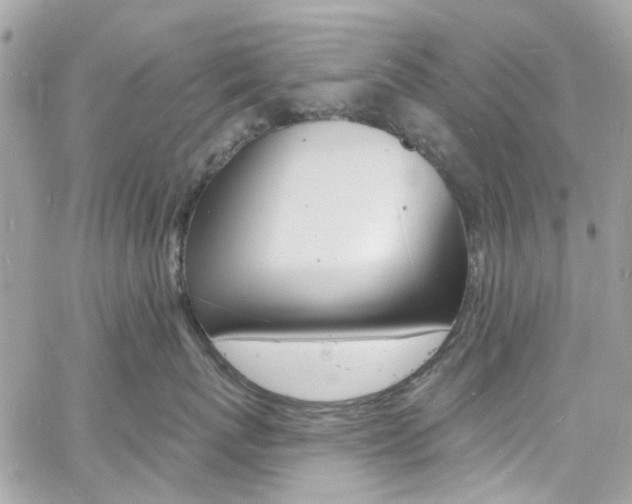 X0000060810767200511101036